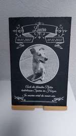 Laura eine treue Seele ist vor kurzem ins Regenbogenland gegangen-Beitrag-Bild