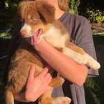 Ersteller:in Laura Profilbild