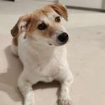 Ersteller:in Gina Profilbild