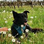 Ersteller:in Torsten Profilbild