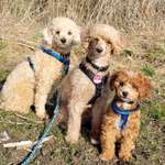 Ersteller:in Janina Profilbild