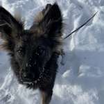 Ersteller:in Eileen Profilbild