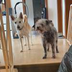 Ersteller:in Alina Profilbild