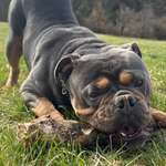 Ersteller:in Stefanie Profilbild