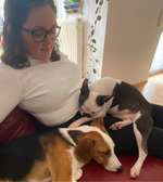 Ersteller:in Martha Profilbild