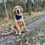 Ersteller:in Madeleine Profilbild