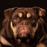 Ersteller:in Kevin Profilbild