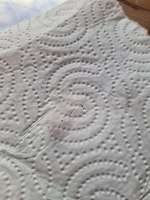 Gesundheit, parasiten-Beitrag-Bild