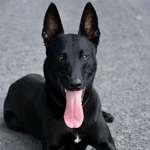 Ersteller:in Madeline Profilbild