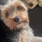 Ersteller:in Mark Profilbild