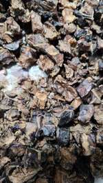 Trainingshappen Rinderlunge,Tierchen-Beitrag-Bild