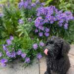 Ersteller:in Hildegard Profilbild