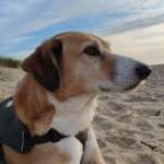 Ersteller:in Edith Profilbild