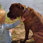 Ersteller:in Jan Profilbild