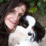 Ersteller:in C Profilbild