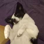 Ersteller:in Edina Profilbild