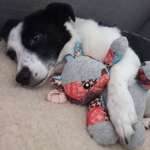 Ersteller:in Edina Profilbild