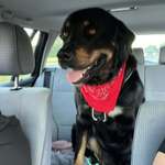 Ersteller:in Elvira Profilbild