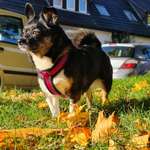 Ersteller:in Saskia Profilbild