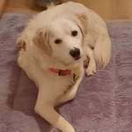 Ersteller:in Stefanie Profilbild