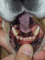 Verletzung oder Umfangsvermehrung?-Beitrag-Bild