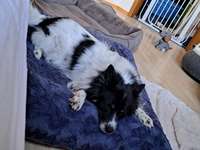 Neustart für den Darm-Beitrag-Bild