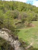 Hundeauslaufgebiet-Gönninger Seen-Bild