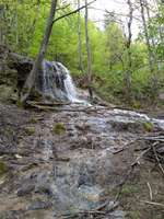 Hundeauslaufgebiet-Gönninger Seen-Bild