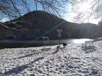 Hundeauslaufgebiet-Gönninger Seen-Bild