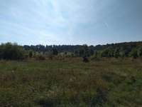 Hundeauslaufgebiet-Natutschutzgebiet-Bild