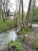 Hundeauslaufgebiet-Gönninger Seen-Bild