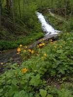 Hundeauslaufgebiet-Gönninger Seen-Bild