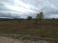 Hundeauslaufgebiet-Natutschutzgebiet-Bild