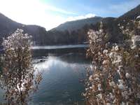 Hundeauslaufgebiet-Gönninger Seen-Bild