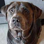 Ersteller:in Daniela Profilbild