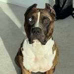 Ersteller:in Patrick Profilbild