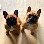 Ersteller:in Susanne Profilbild