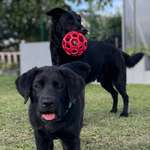 Ersteller:in Petra Profilbild