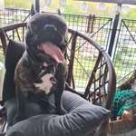 Ersteller:in Michelle Profilbild