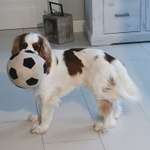 Ersteller:in Karolina Profilbild