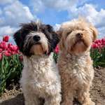 Ersteller:in Johanna Profilbild