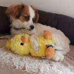 Ersteller:in Julia Profilbild