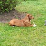 Ersteller:in Gabi Profilbild