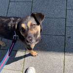 Ersteller:in Celine Profilbild