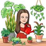 Ersteller:in Madeleine Profilbild