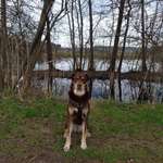 Ersteller:in Enni Profilbild