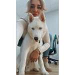 Ersteller:in Zehra Profilbild