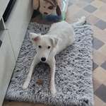 Ersteller:in Wilma Profilbild