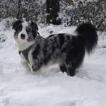 Ersteller:in Monika Profilbild