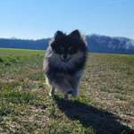 Ersteller:in Sabina Profilbild